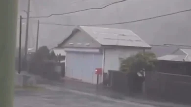 Photo of Tajfuni “Dolphin” godet Japoninë, 6 të plagosur dhe mijëra shtëpi pa energji