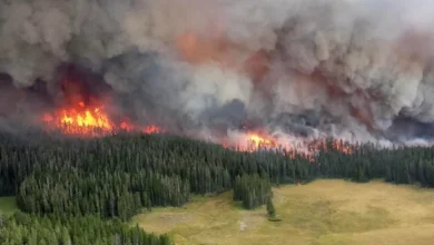Photo of QMK: Pothuajse i gjithë territori i vendit i rrezikuar nga zjarret