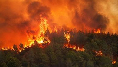 Photo of Avni Ameti: Aktualisht po përballemi me pesë zjarre aktive në rajonin e Pollogut