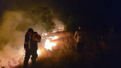 Photo of Nga 15 zjarre aktive në ambiente të hapura në RMV, katër janë më të mëdha