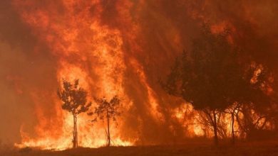 Photo of Spanjë: Afro 3 milionë hektarë pyje të djegura, evakuohet Gátova nga zjarret