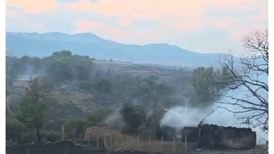 Photo of 29 zjarre në 24 orët e fundit, 6 ende aktive! Angellov: Situatë serioze në Çanishte dhe Jegunovcë