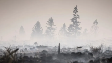 Photo of Flakët jashtë kontrollit në Belgjikë, zj*arri masiv po afrohet drejt Gjermanisë