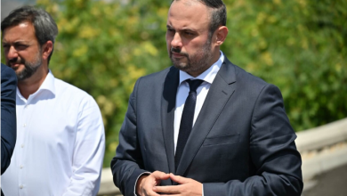 Photo of Gjorgjievski: Spërkatja kundër mushkonjave nisi më 7 maj! “LSDM po politizon ethet e Nilit Perëndimor”