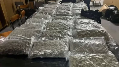 Photo of Zgjerohet hetimi për transportimin e marihuanës nga Maqedonia e Veriut në Serbi