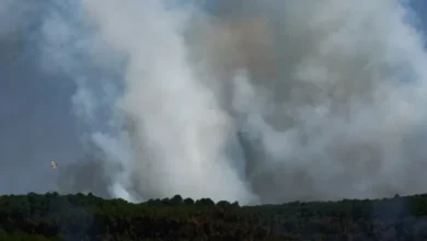Photo of Zjarret përfshijnë Ballkanin, situatë kritike në Kroaci, Greqi dhe Maqedoni të Veriut