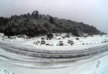 Photo of Ndodhë edhe kjo: Zelanda e Re “pushtohet” nga bora dhe i ftohti