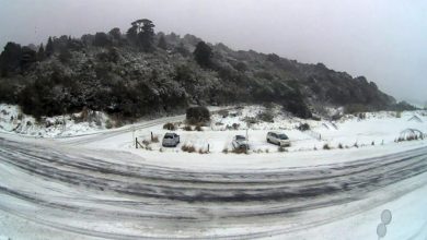 Photo of Ndodhë edhe kjo: Zelanda e Re “pushtohet” nga bora dhe i ftohti