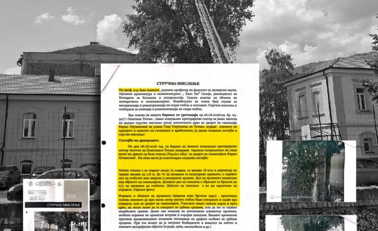 NPK  Tetova  publikon faktet  Pema në gjimnaz paraqiste rrezik