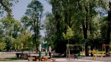 Photo of Gjorgjievski: Parku i qytetit sërish po e kthen shkëlqimin e tij