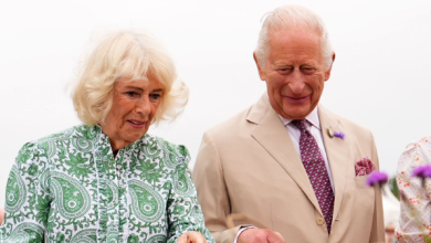 Photo of Camilla rrëfen për herë të parë: Ishte e vështirë të mbaja sekret sëmundjen e Charles