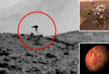 Photo of A ka jetë në Mars? Fotoja e NASA-s po bën xhiron e rrjetit, një krijesë e çuditshme duket sikur lëviz mbi sipërfaqen e Planetit të Kuq