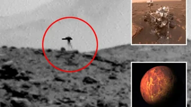 Photo of A ka jetë në Mars? Fotoja e NASA-s po bën xhiron e rrjetit, një krijesë e çuditshme duket sikur lëviz mbi sipërfaqen e Planetit të Kuq