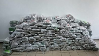 Photo of Aksion ndërkombëtar i Maqedonisë, Kosovës dhe Greqisë: Shkatërrohet grupi kriminal, konfiskohen 300 kg marihuanë