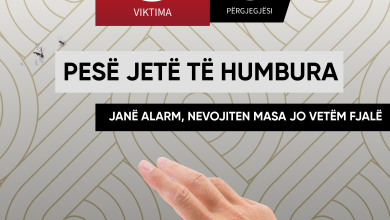 Photo of ASH: Pesë jetë të humbura, janë alarm, nevojiten masa jo vetëm fjalë