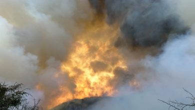 Photo of Shqipëria ende nën flakë/ 7 vatra aktive, mbi 580 forca në terren dhe betejë nga ajri në Dajt e Gurë-Lurë