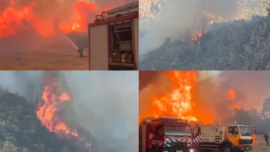 Photo of Shqipëria nën flakë! Situatë e rëndë në rrethinat e Tiranës, zjarret jashtë kontrollit po u afrohen banesave. Lura vijon të digjet prej 48 orësh, 10 vatra aktive në të gjithë vendin