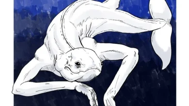 Photo of Çfarë është Ningeni, krijesa misterioze që i ngjan një sirene në legjendat japoneze?