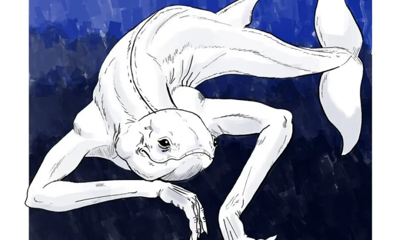 Çfarë është Ningeni  krijesa misterioze që i ngjan një sirene në legjendat japoneze 