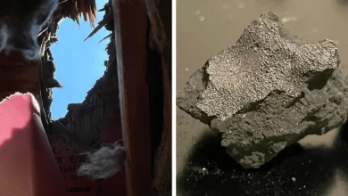Photo of Përshkoi çatinë e një shtëpie, meteoriti zbulon gjurmë të lidhura me origjinën e jetës