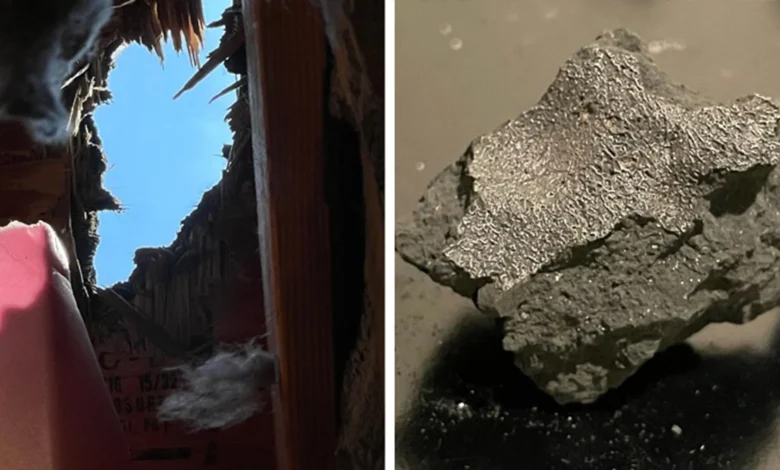 Përshkoi çatinë e një shtëpie  meteoriti zbulon gjurmë të lidhura me origjinën e jetës