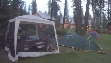 Photo of Ishte fejuar një ditë më parë, 29-vjeçarja vritet nga ariu në kamping