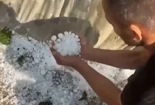 Photo of Breshëri shkatërron deri në 1.100 hektarë me duhan dhe luledielli në Dollnen
