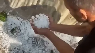 Photo of Breshëri shkatërron deri në 1.100 hektarë me duhan dhe luledielli në Dollnen
