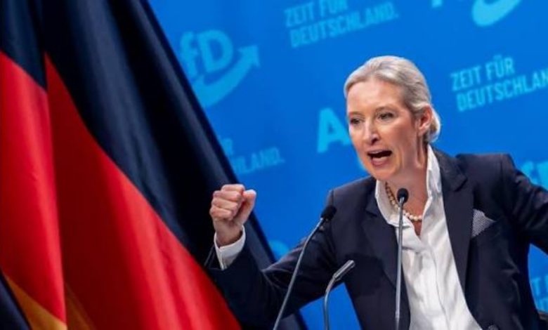  Do mbyllim kufijtë  do të dalim nga Schengeni   Kryeson sondazhet  plani ekstrem i AfD nëse merr pushtetin në Gjermani  Emigrantët do të 