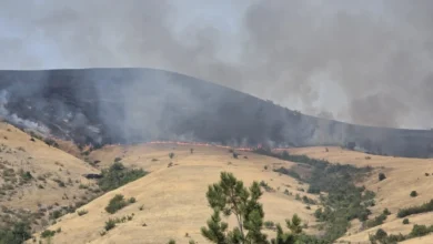 Photo of Tre vatra zjarri aktive, katër janë nën kontroll