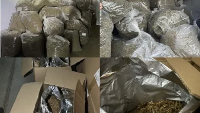 Photo of Kapet kamioni me 324 kg marihuanë në Selanik, arrestohen një shtetas i Maqedonisë së Veriut dhe një i Kosovës