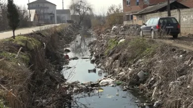 Photo of Mushkonjat dhe kanalet plot me ujë të ndenjur – a do të ndihmojë spërkatja?