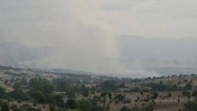 Photo of Angellov: Zjarri u përhap dhe preku pjesë të fshatit Çanishte të Prilepit, nuk ka viktima