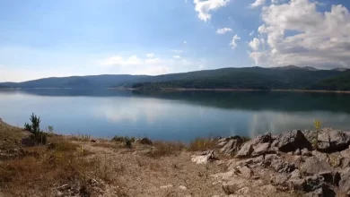 Photo of Nga nesër ndalohet peshkimi në Liqenin e Mavrovës