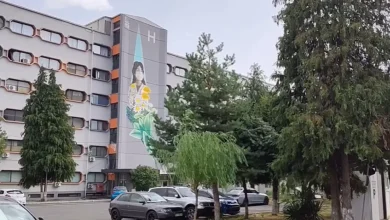 Photo of Fluks i shtuar në pediatrinë e Tetovës: 139 fëmijë u trajtuan brenda 48 orëve