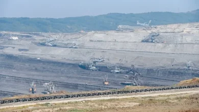 Photo of Rizvanolli: Do t’i shesim Maqedonisë deri në 73.2 milionë euro thëngjill