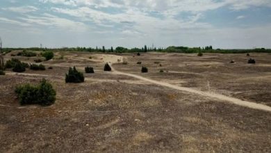 Photo of Valë e re e të nxehtit në Evropë, temperatura mbi 40 gradë, thatësira godet ekonominë