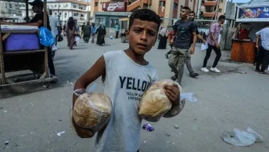 Photo of 1,4 milion palestinezë përballen me pasiguri të rëndë ushqimore në Gaza, ndërsa mungesa e barnave thellohet