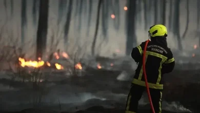 Photo of Zjarri djeg 1.600 hektarë në Francën jugperëndimore