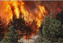 Photo of Alarm për zjarre: Pothuajse i gjithë vendi në rrezik të lartë