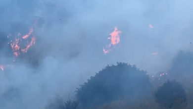 Photo of Flakët ndizen nga dora e njeriut, zjarrfikësit: Shumica e vatrave shkaktohen gjatë djegies së mbetjeve bujqësore