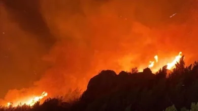 Photo of Zjarri në Krujë/ Vijon aktive një vatër në lagjen Abazë, lirohet i moshuari që u arrestua për ngjarjen