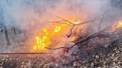 Photo of Pesë zjarre aktive në territorin e Maqedonisë së Veriut