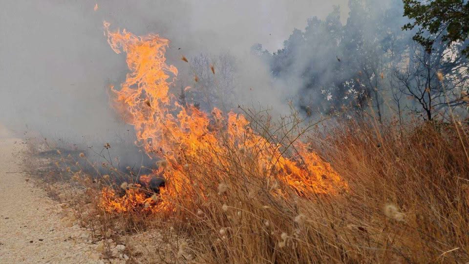 Arrestohet 55 vjeçari nga fshati Gajre  shkaktoi zjarr në  Malin Zeska 