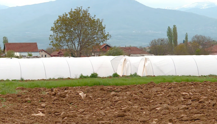Stuhia la dëme në bujqësi  komunat duhet të nisin vlerësimin