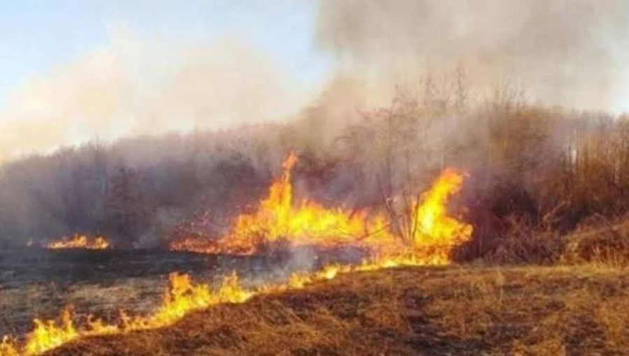 QMK  24 zjarre në zona të hapura deri në orën 18  tetë prej të cilave janë aktive