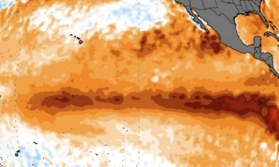 El Niño drejt rekordit historik  90  shanse për një fenomen ekstrem  frikë për rritjen e çmimeve të ushqimeve