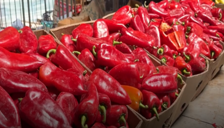 Kush po e  përzien  çmimin e ajvarit në Maqedoni  