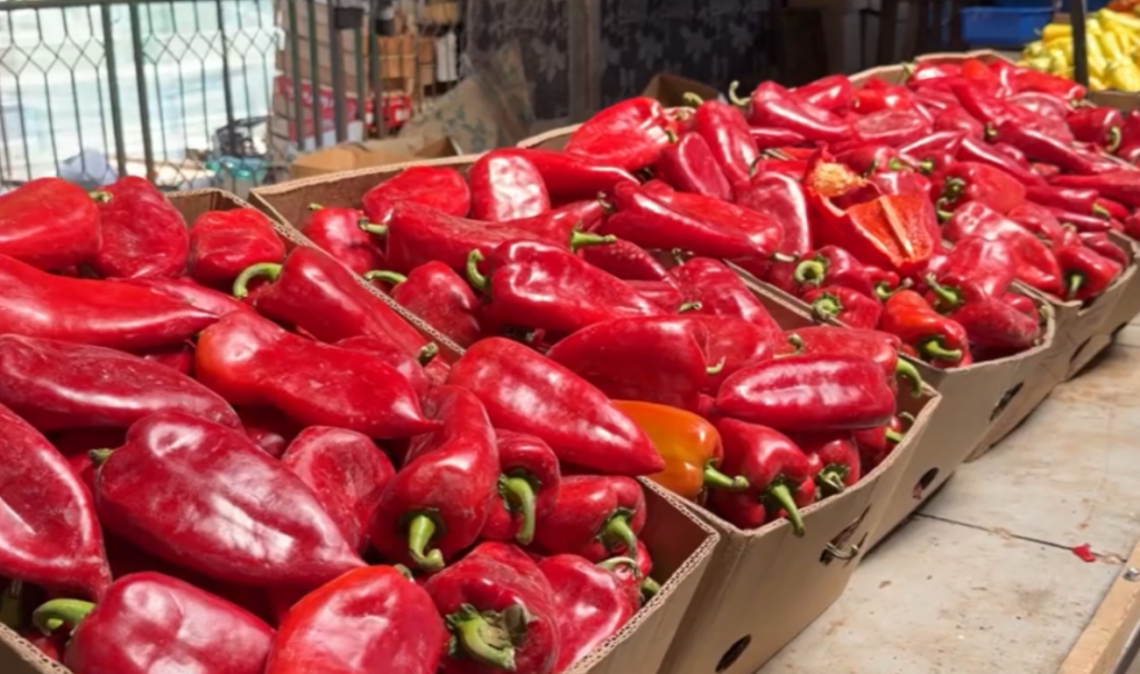 Bullgaria ndalon 9 5 tonë speca nga Maqedonia