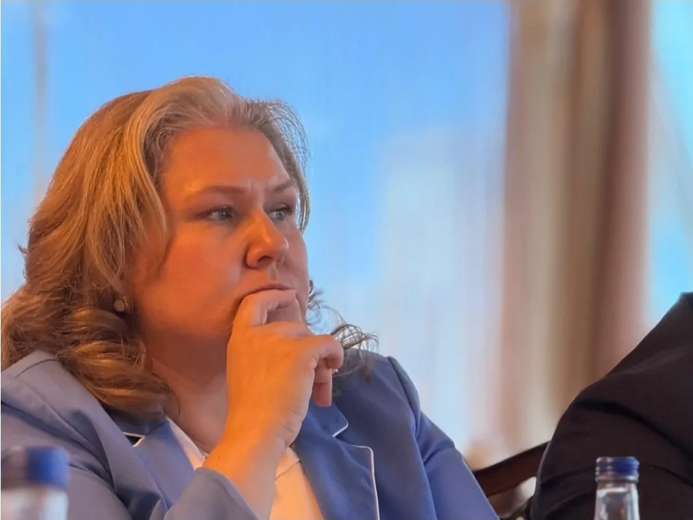 Petrovska  Dy vjet folëm brenda LSDM së  propozimet dhe zgjidhjet u injoruan